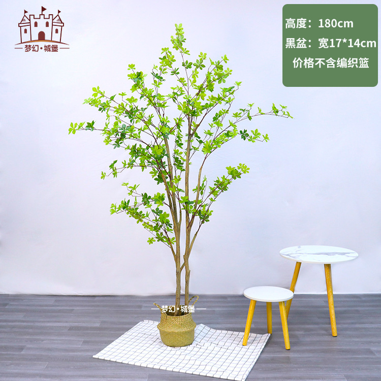 Simulación de plantación verde de plátano de bambú de tortuga grande planta de plantación de ventana interior diseño de ángulo de planta de árbol falso paisajístico