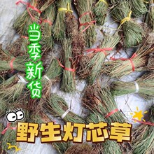 �V�|��о����Ұ�����Ĳ����r�횲���횲���ș�����ˮ�[ˮ����
