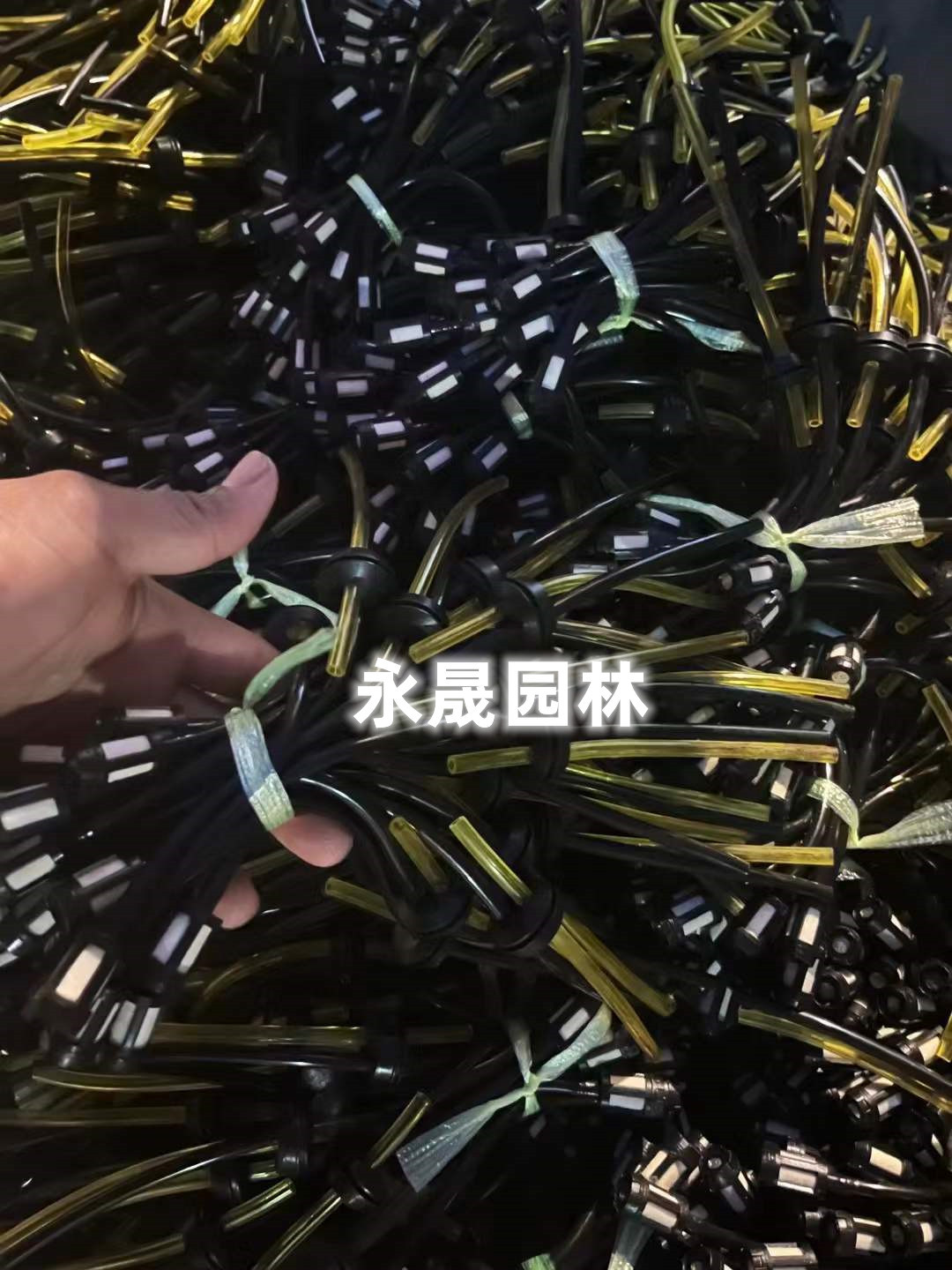 微信图片_20220531120727_副本