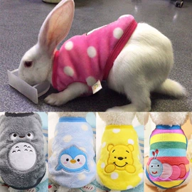 狗狗牵引;嘴套;猫猫玩具