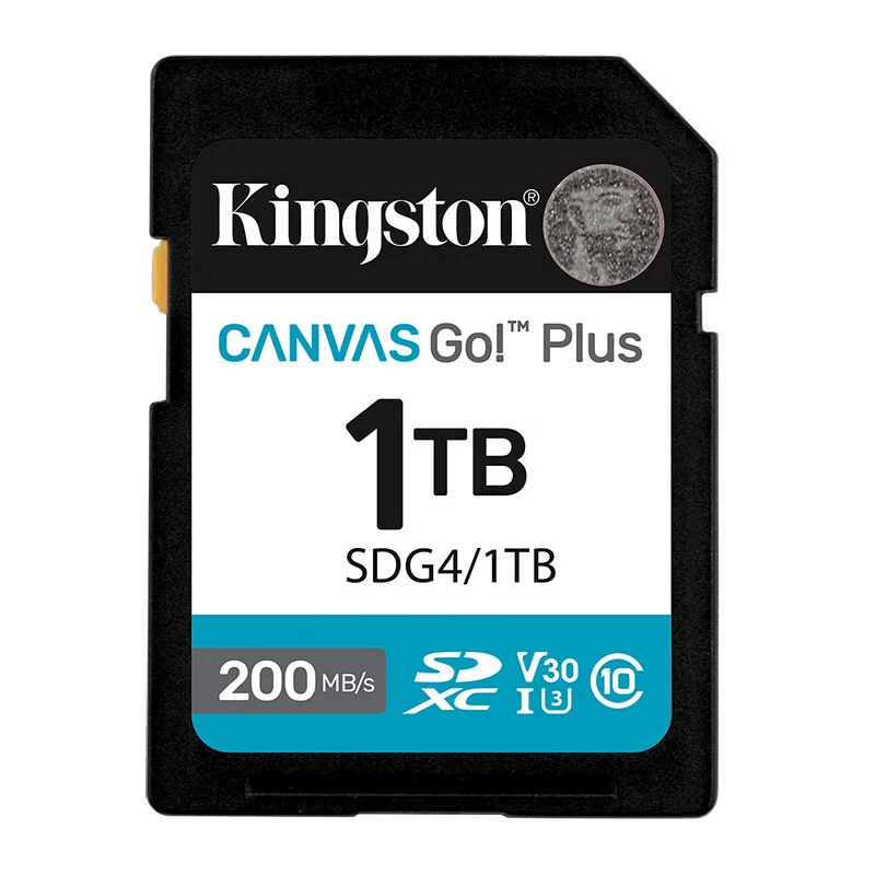 Карта памяти Kingston SDG4 64ГБ 128ГБ 256ГБ 512ГБ 1Т, карта памяти для камеры SD, скорость чтения 200 МБ/с
