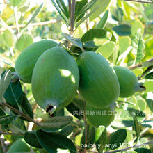 ͹쳝}ʯ绨̨҃ͥ@ˇֲ