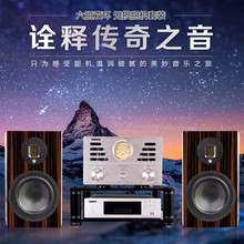 丹麦皇冠音响音箱 E-100 HIFI发烧电子管胆机蓝牙组合电视音响
