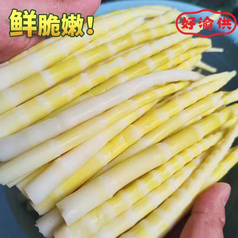 高山竹笋新鲜嫩春笋尖小野笋罗汉笋清水笋串串笋餐饮商用火锅笋子