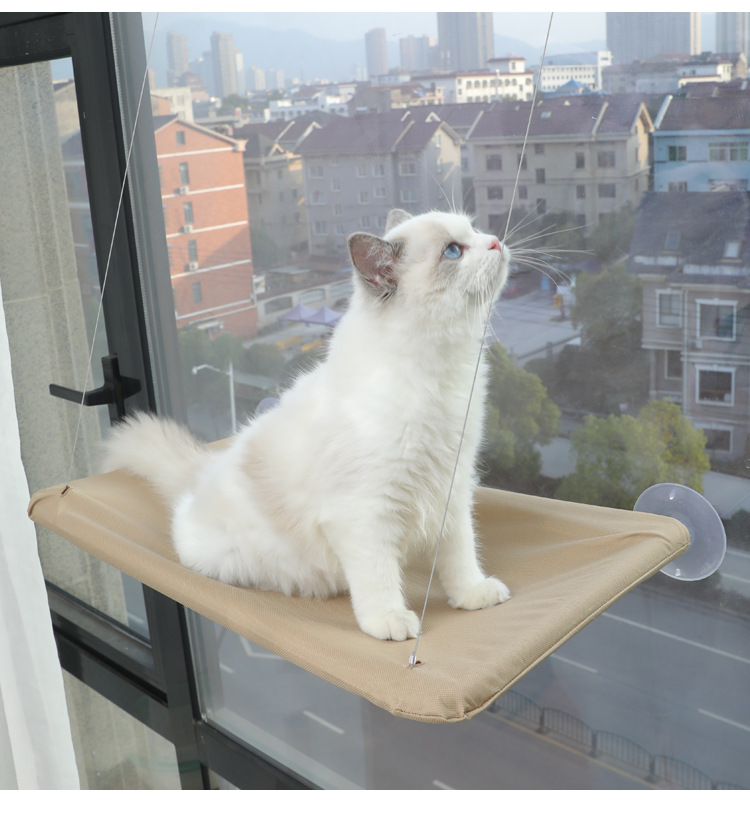 猫吊床_18