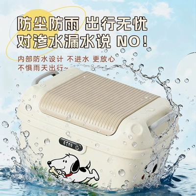 Capacity Free Shipping — Electric car tail box