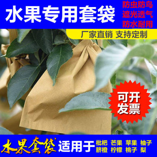 Special Bagging for Peaches, Peach Winter Peach, Yellow Peach Fruit Paper Bag, Anti-Bird and Insect Waterproof Gold Bagging