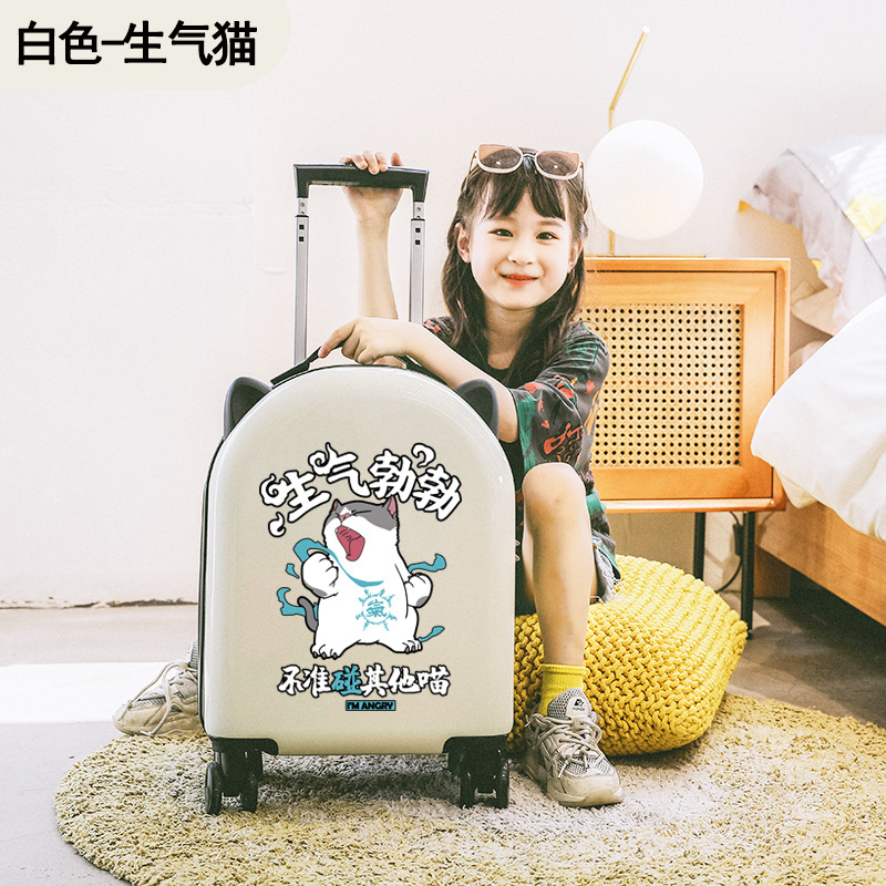 하얗게 화난 고양이
