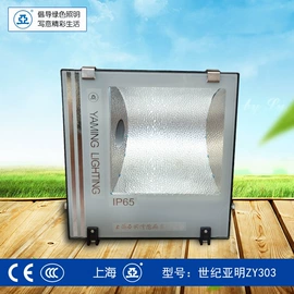 投光灯;路灯;泛光灯
