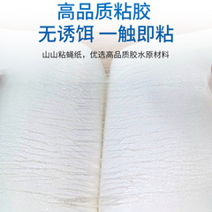 山山粘蠅板蒼蠅貼50張紙物理滅蚊蒼蠅粘蚊紙廠家批發強力家用