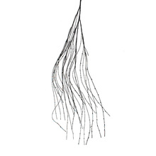 �b������lPE��ѿ��֦���滨�h��֦�G�~ֲ�����ϻ���ƿ�廨�b�