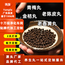扬发青梅丸陈皮丸品牌代加工小丸子贴牌OEM批发手工丸源头工厂丸