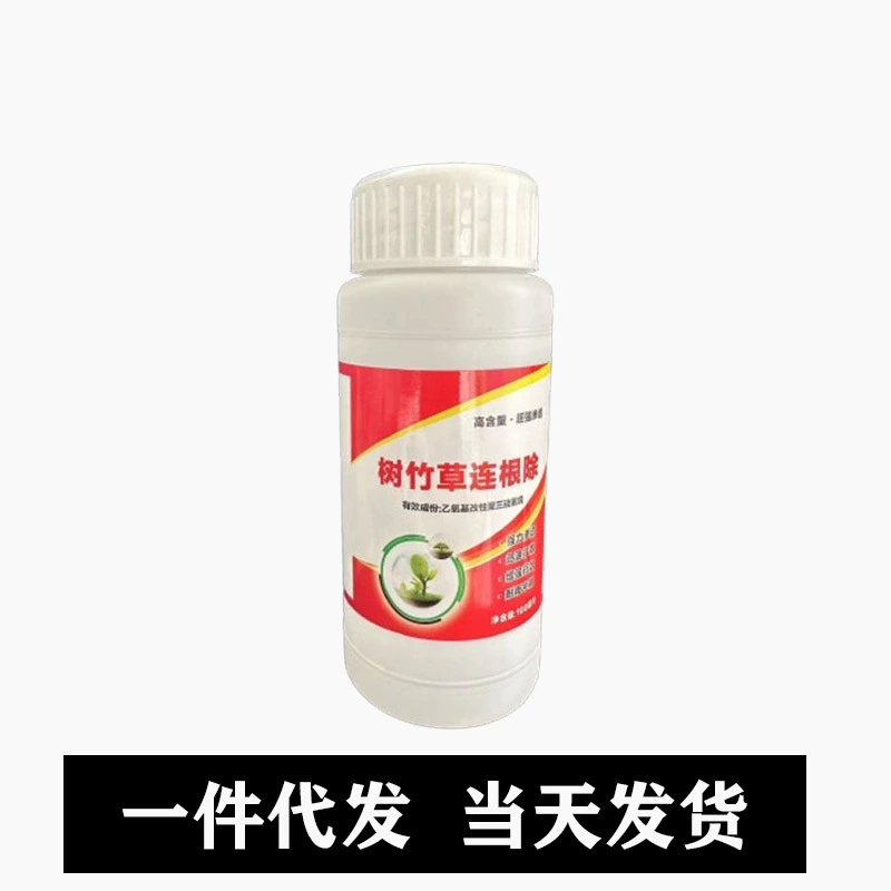 Деревья бамбука и травы уничтожили гнилые корни