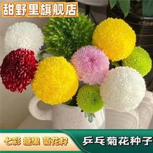 ߲ƹҾջNǹշNļ׷NLǹɫԻN