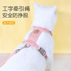 狗狗牵引;宠物项圈;猫猫牵引