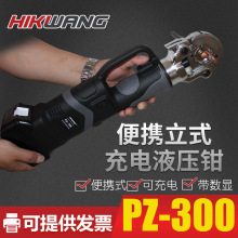 PZ-300��yֱ��ʽ���늄�Һ�����ӹ����p���늿��~�����Ӊ����Q