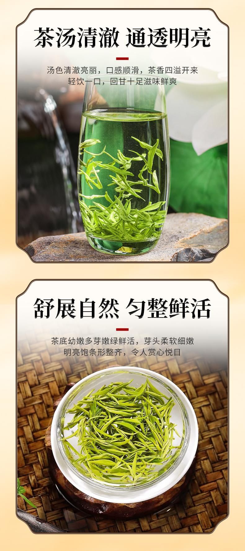 Tie Guan Yin Oolong Tea (Camellia sinensis) — Light Aroma Qingxiang Loose Leaf, 100g Can quality and texture