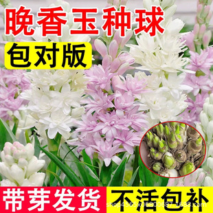 ������������N�򻨻ܶ������ذ��ͺ��͟Ứ�N��ͥԺ�̨�Gֲ����