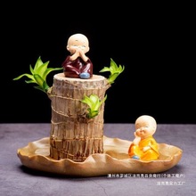 巴西木巴旦木发芽快开花水养水培幸运花卉桌面盆栽绿植室内好养