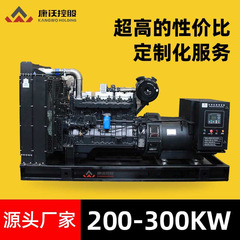 三相 AC ブラシレスディーゼル発電機セット工場停電予備発電機 200/250/300KW