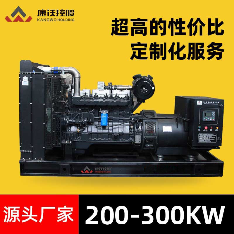 三相 AC ブラシレスディーゼル発電機セット工場停電予備発電機 200/250/300KW|undefined