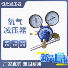 恆欣單級式氧氣減壓器減壓閥大流量調壓閥工具壓力表批發YQY-07