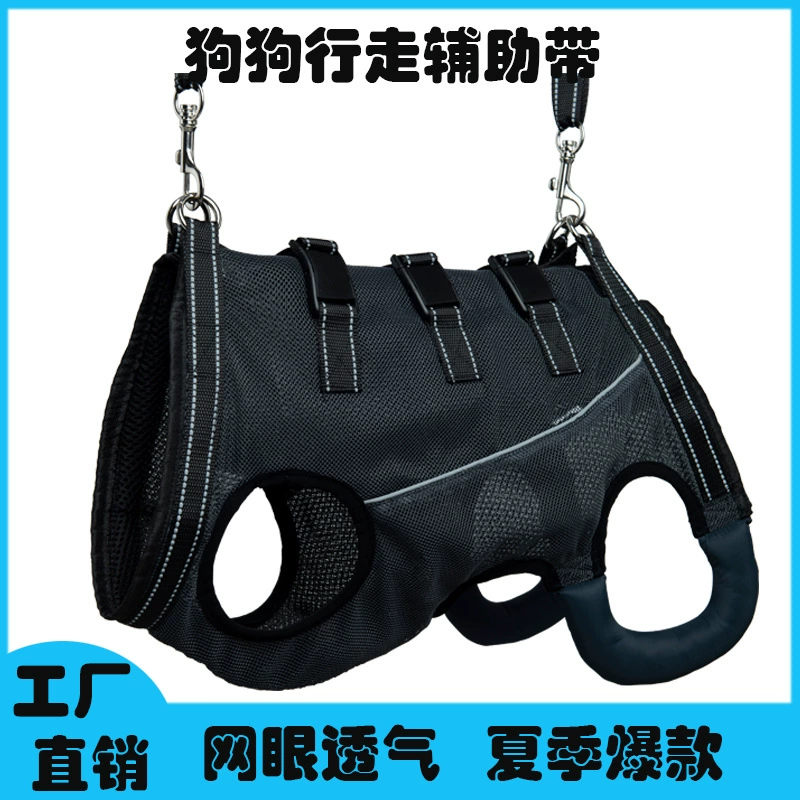 Летняя помощь собакам