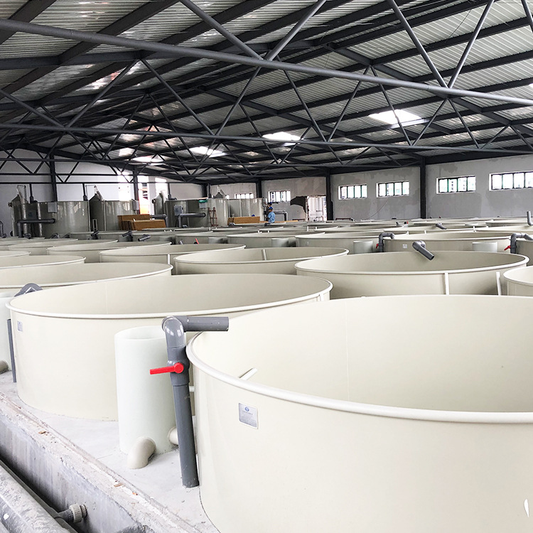 育苗专用塑料鱼池 水产鱼池 石斑鱼养殖鱼池塑料桶虾苗养殖箱鱼缸