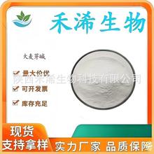 ����ѿ�|98% Hordenine����ѿ��ȡ��539-15-1�S�ҬF؛