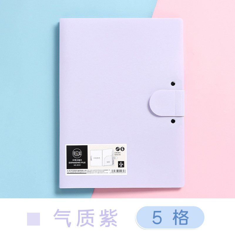 Multi-Pocket Plastic A4 Organizer File