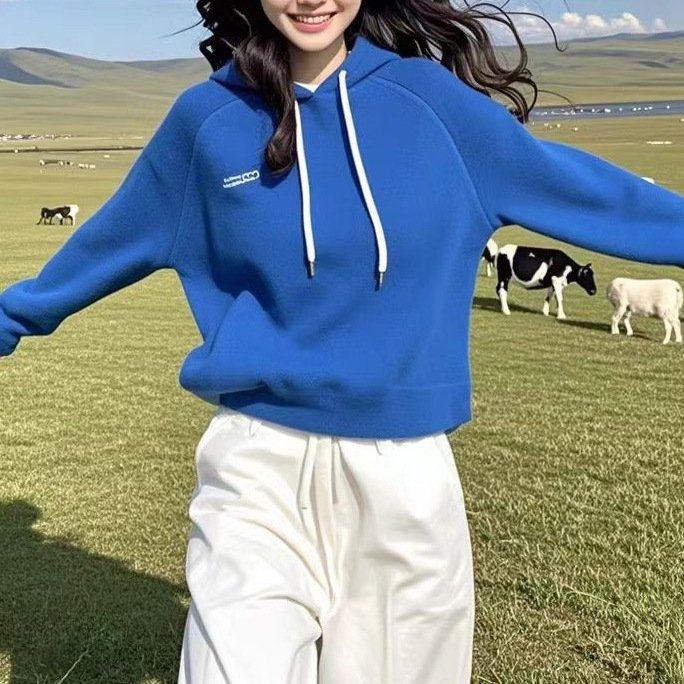 2025春秋克莱因蓝连帽宽松显瘦套头加绒卫衣印花上衣女|undefined