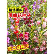 �ذ��P�ɻ��N�����ļ����N�_��ָ�׻����҃����̨����̫ꖻ��N��