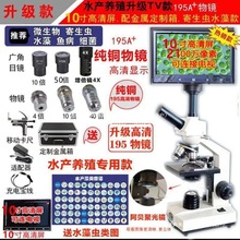 一滴血高清血液检测仪看猪兔细菌专业水产养殖螨虫显微镜