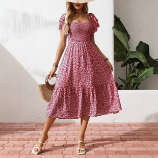 2025�W���¿�羳wish���R�d����I�������黨�B��ȹ�Lȹ