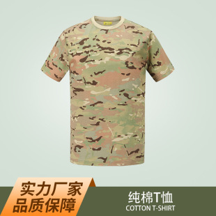 �ļ��W���\�ӑ��������w�ܷ�ȫ�ވA�I��܊Ӗ����ʿ�Բʶ���t����