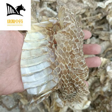 ���l��ș����͑��Ƥ��������500g�r�� ���|؛Դ�gӭ�xُ