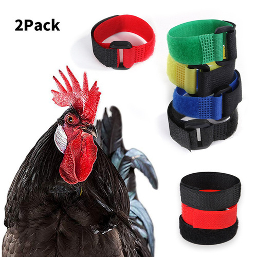 Cross-border new pet supplies 2-pack anti-hook rooster collar no-hook noisy neck collar supplies