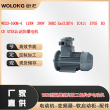 WEX3-160M-4  11KW 380V  BT4   IP55  B3  CE ATEX认证防爆电机