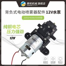 12V늄ӇFˮü~늙CʽĤ2203/4200/5500YJL