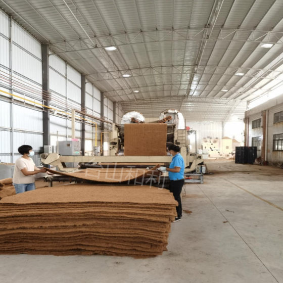 Factory Outlet Amazon Cross Border Pet Mat Floor Mat Coconut Fiber Mat Snow Mat Bean Sprout Mat Plant Coconut Mat