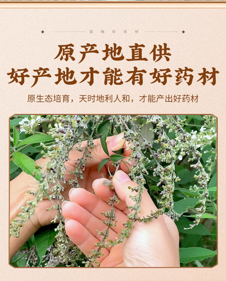 Huang Jing Zi Vitex Seeds 500g Dried Fructus Viticis for Traditional Decoctions and Herbal Tea key features