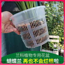 �ظ���������m�U��͸�������辰ʯ���m�������m���ϾW�Nֲ