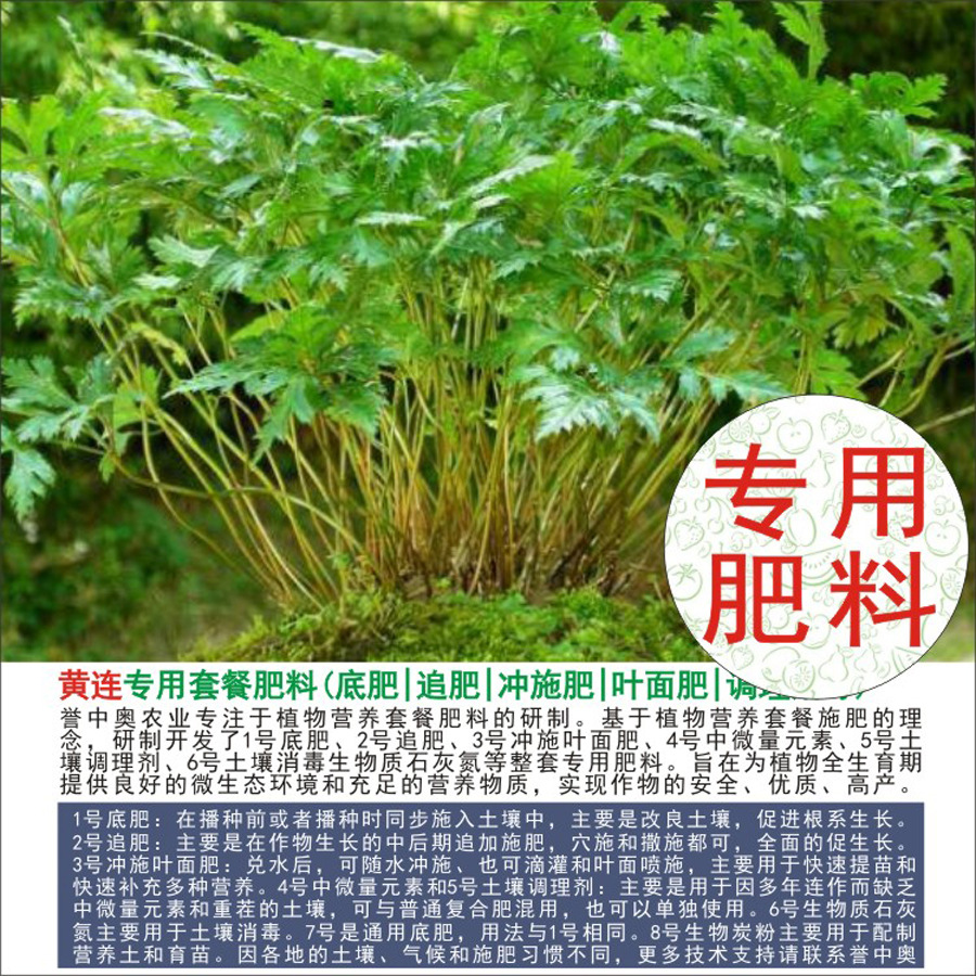 50�����а»���ר���л��ʸ��Ϸʵ׷�׷��Ҷ��ʳ�ʩ��ˮ�ܷ�