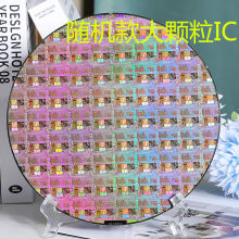 14 8寸晶圆 光刻芯片 裸芯片 8寸光刻片 8英寸硅晶圆 摆件