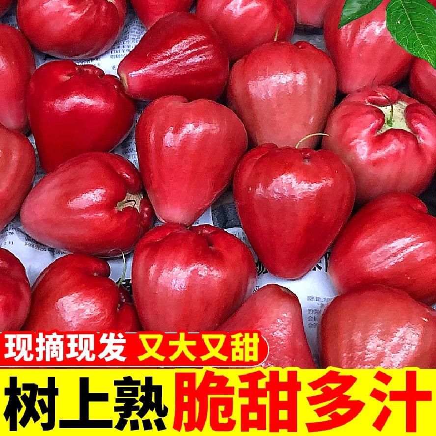 黑金刚海南莲雾当季连雾新鲜水果斤红宝石非莲雾整箱5斤包