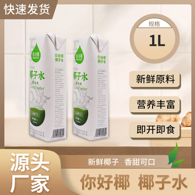 厂家直销HelloCOCO 椰子水1L鲜榨压榨椰汁奶茶咖啡店商用饮料批发|ms