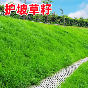 ��ƺ�����o�¹����������ݷN�G�������ļ�������Ӻ������ͺ��ͺ�