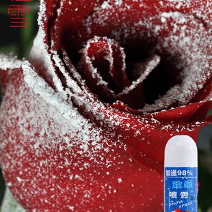 �}�Q���r����ѩ���ڻ���ѩ����õ�廨��ѩ��ѩ����ɫ�r�������b�