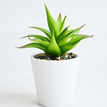 �����J�C�����҃Ȳ͏d����[���b������ԾGֲ�ҾӶ�������