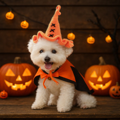 ペットの犬、猫、小型犬、子犬、ハンサム、カジュアル、ファッショナブル、かわいいアクセサリー、ハロウィンウールウィザードハット